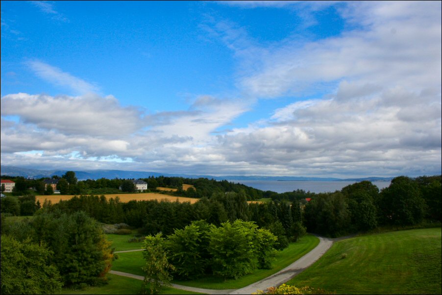 a green field with trees and some clouds