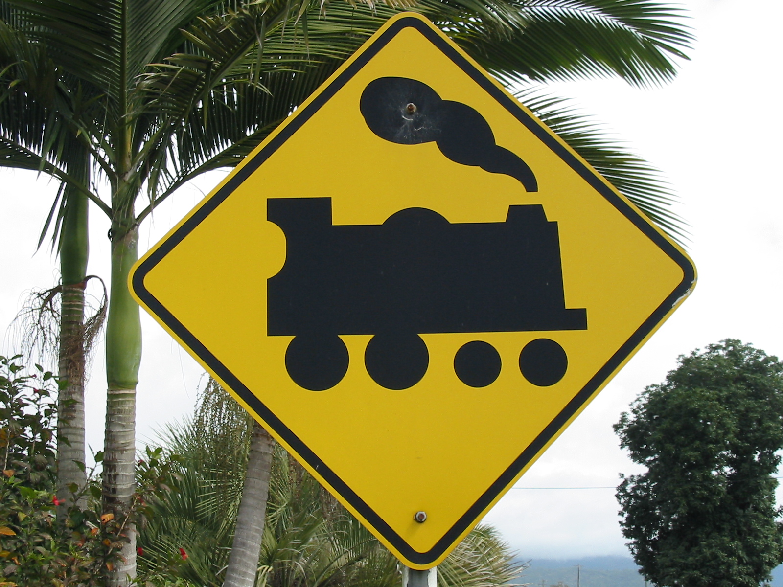 a yellow train crossing sign on the side of the road