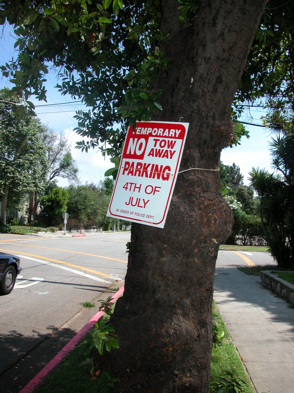a no parking sign hangs from the side of a tree