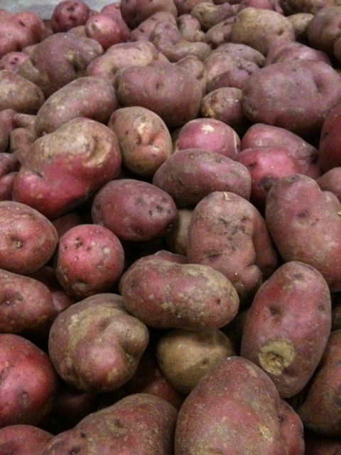several different potatoes piled together in a pile