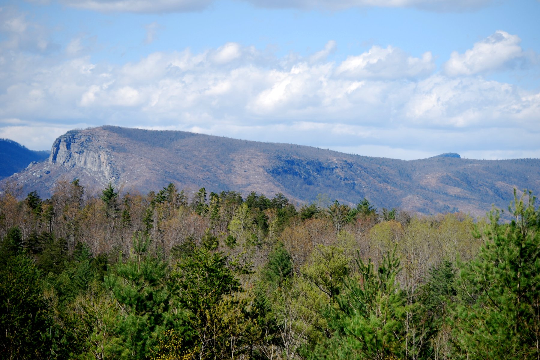 trees in the foreground and mountain tops in the background