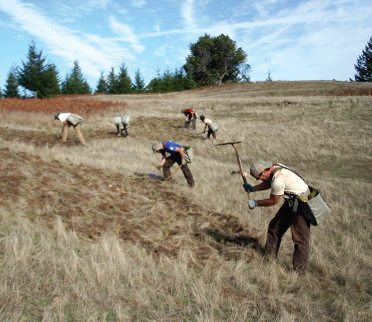 a bunch of men with walking poles and carrying things in a field