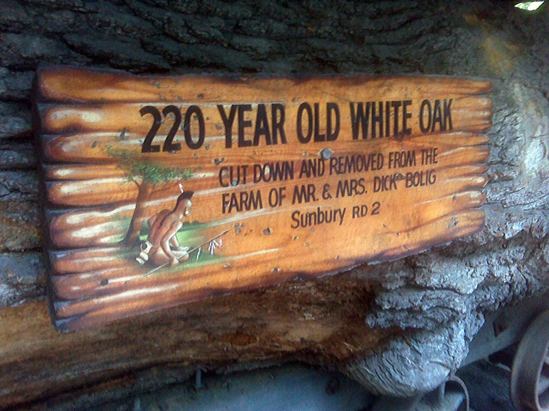 a wooden sign is posted in the bark of a tree