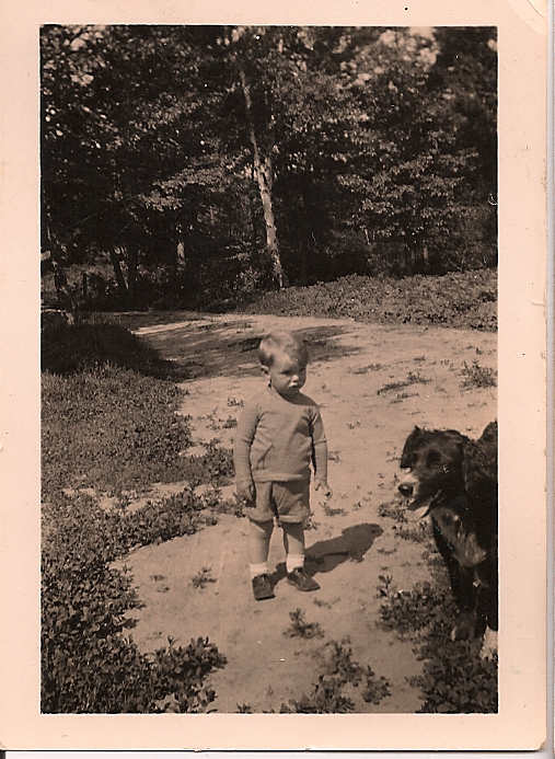 a small child standing next to two black dogs