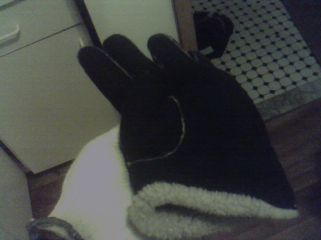 black gloves with white fur cuffs sit on the floor