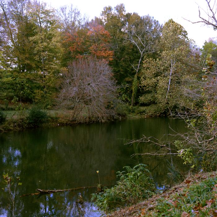 a river surrounded by lots of trees in autumn