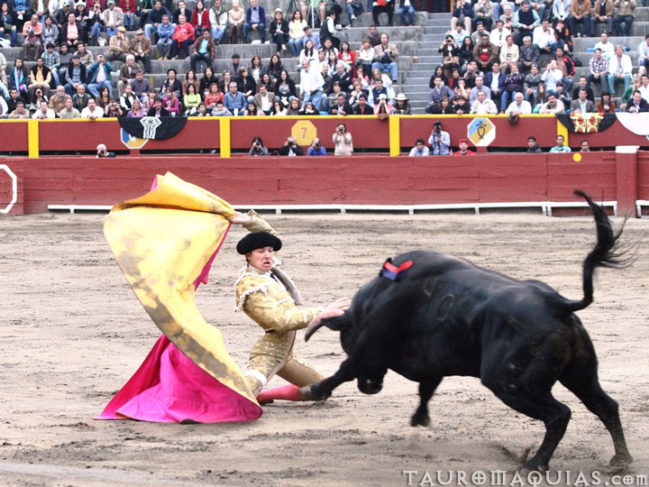 a person in a bullfight with an umbrella