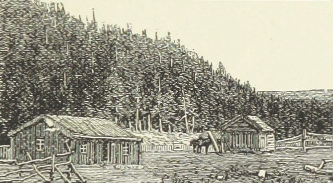 a drawing of a wooded area with buildings and trees