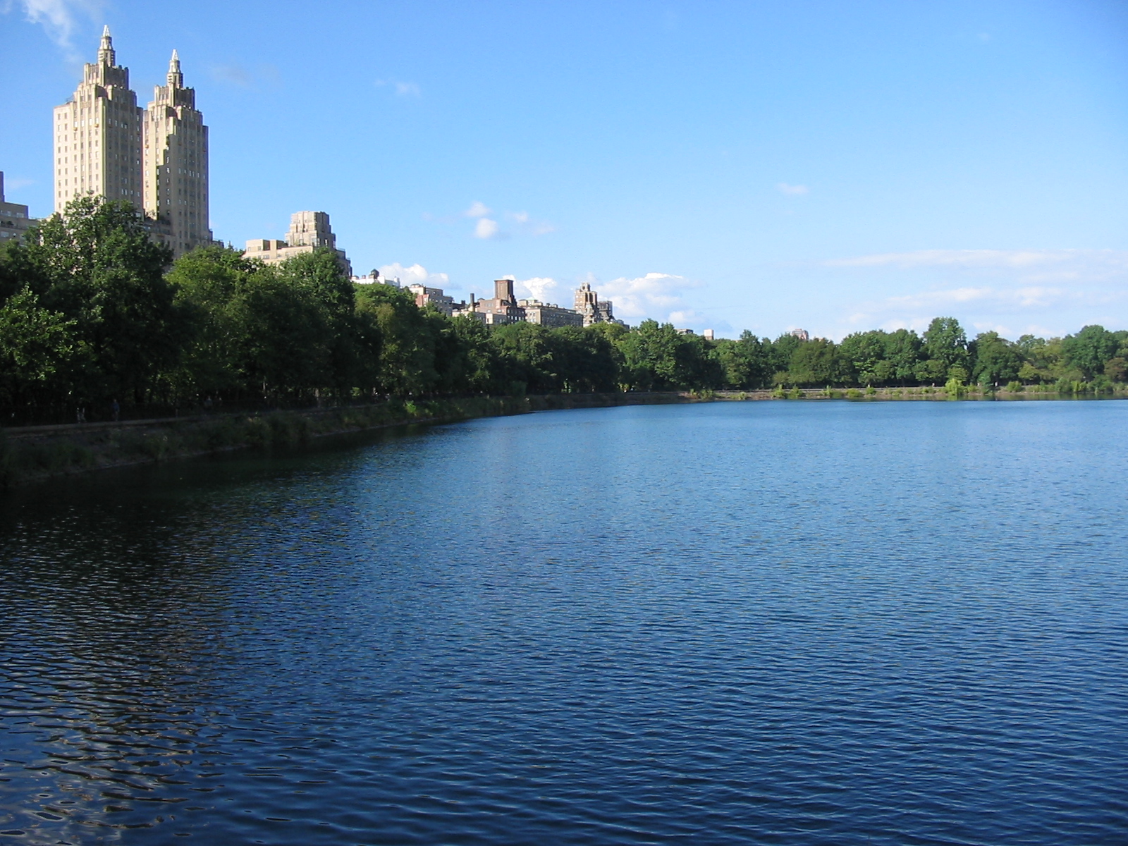 a large lake surrounded by trees and tall buildings