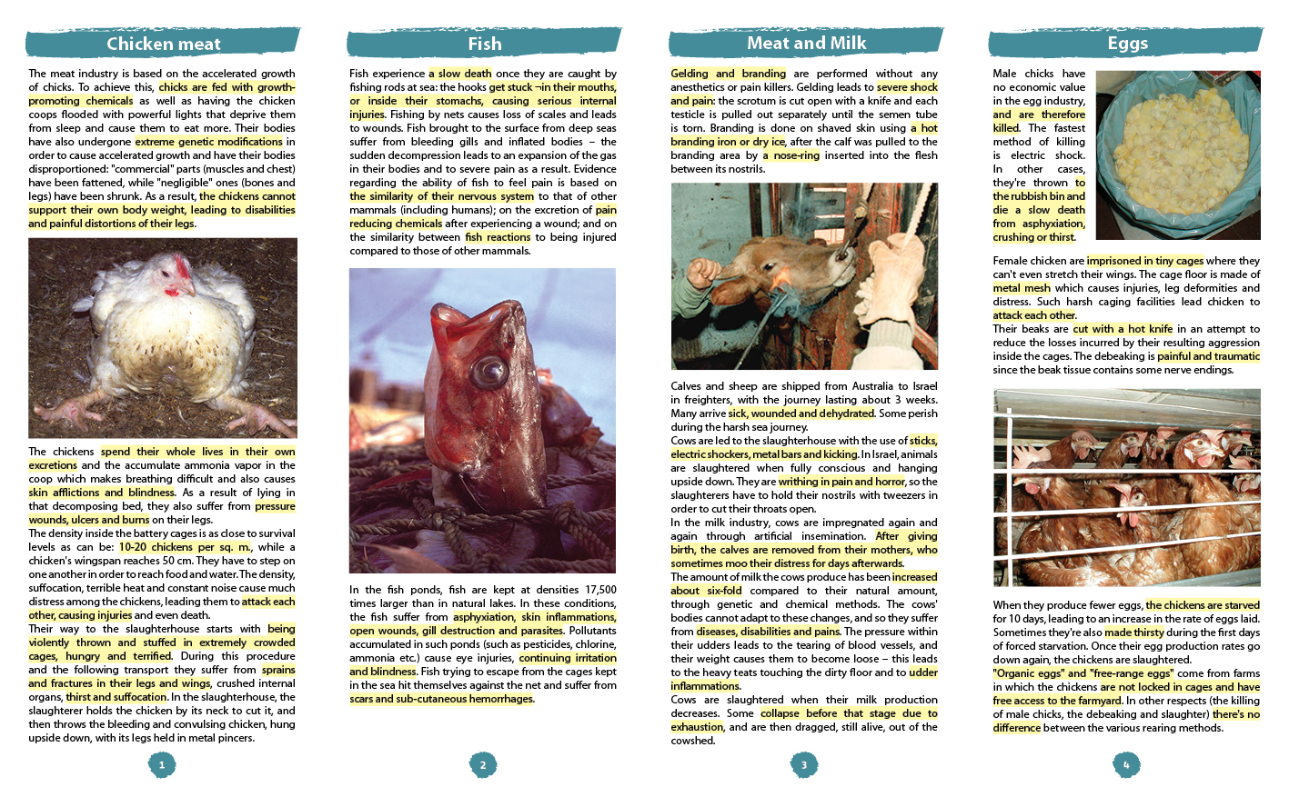the text features pictures of various animals