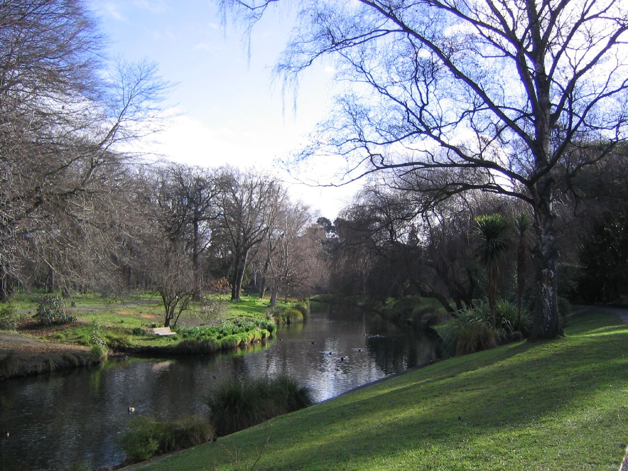 a river runs through the park and next to trees