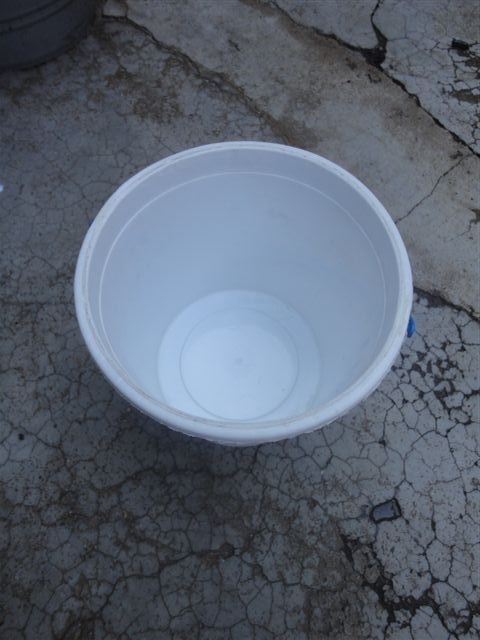 a white bucket with water inside is next to a bucket