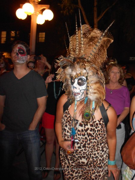 a costumed person wearing an animal print costume at a party