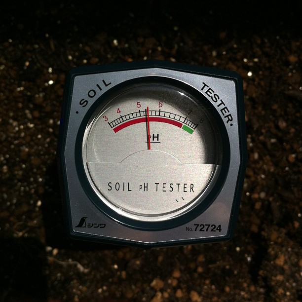 a small meter in the middle of soil