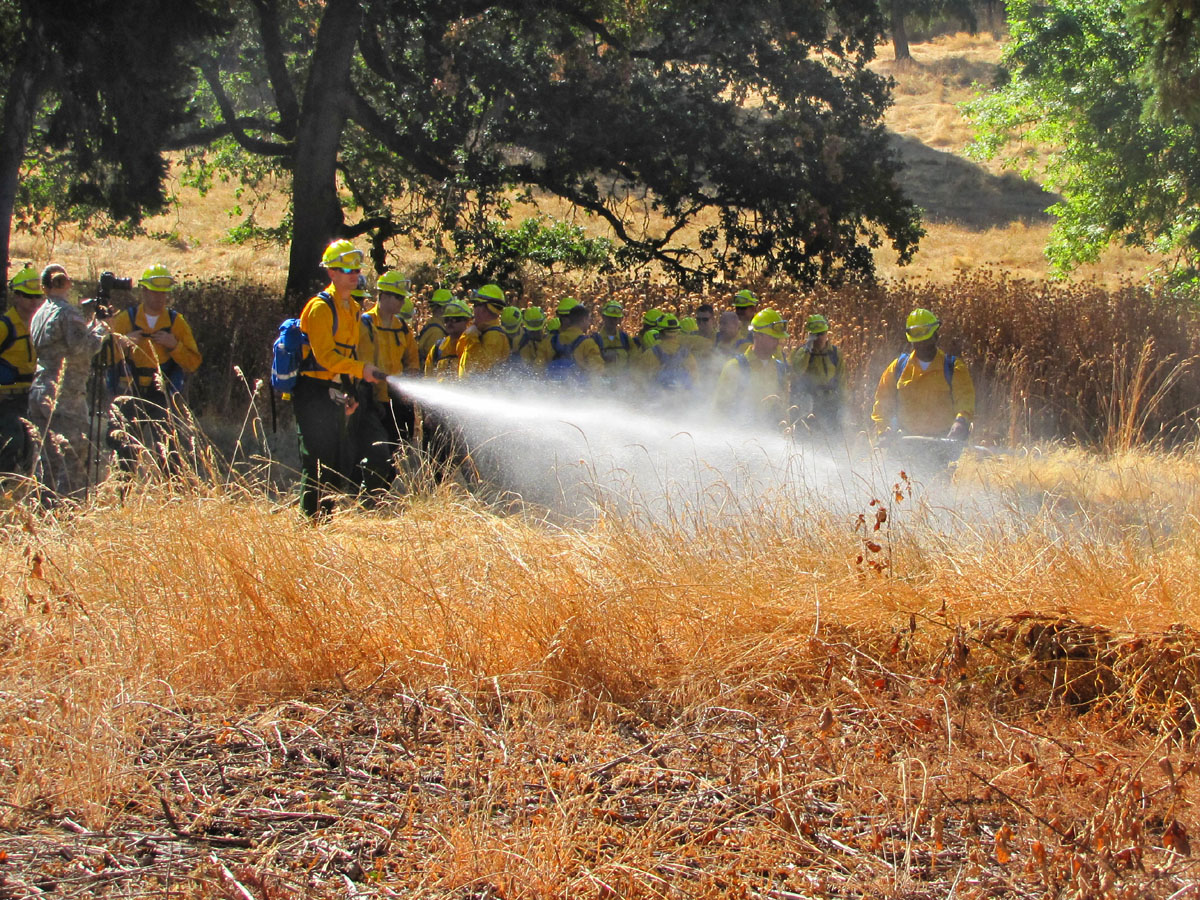 a group of people standing around in a field by a fire hydrant