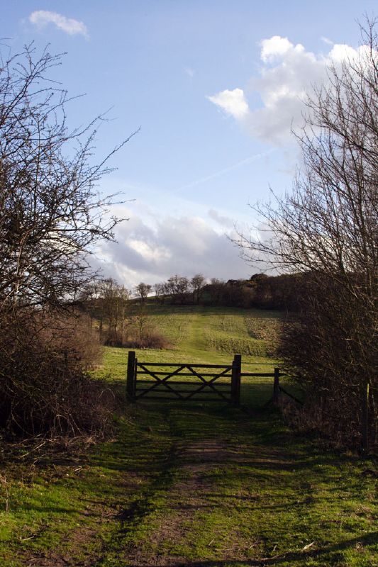 a wooden gate at the end of a path to a grassy field