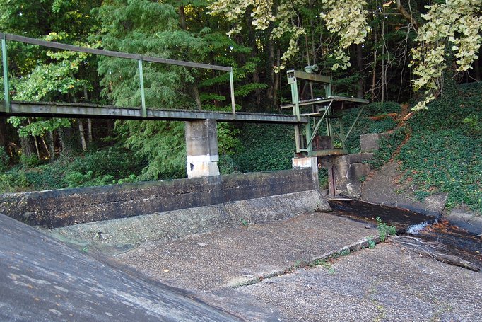 a bridge over a drainage ditch under a forest