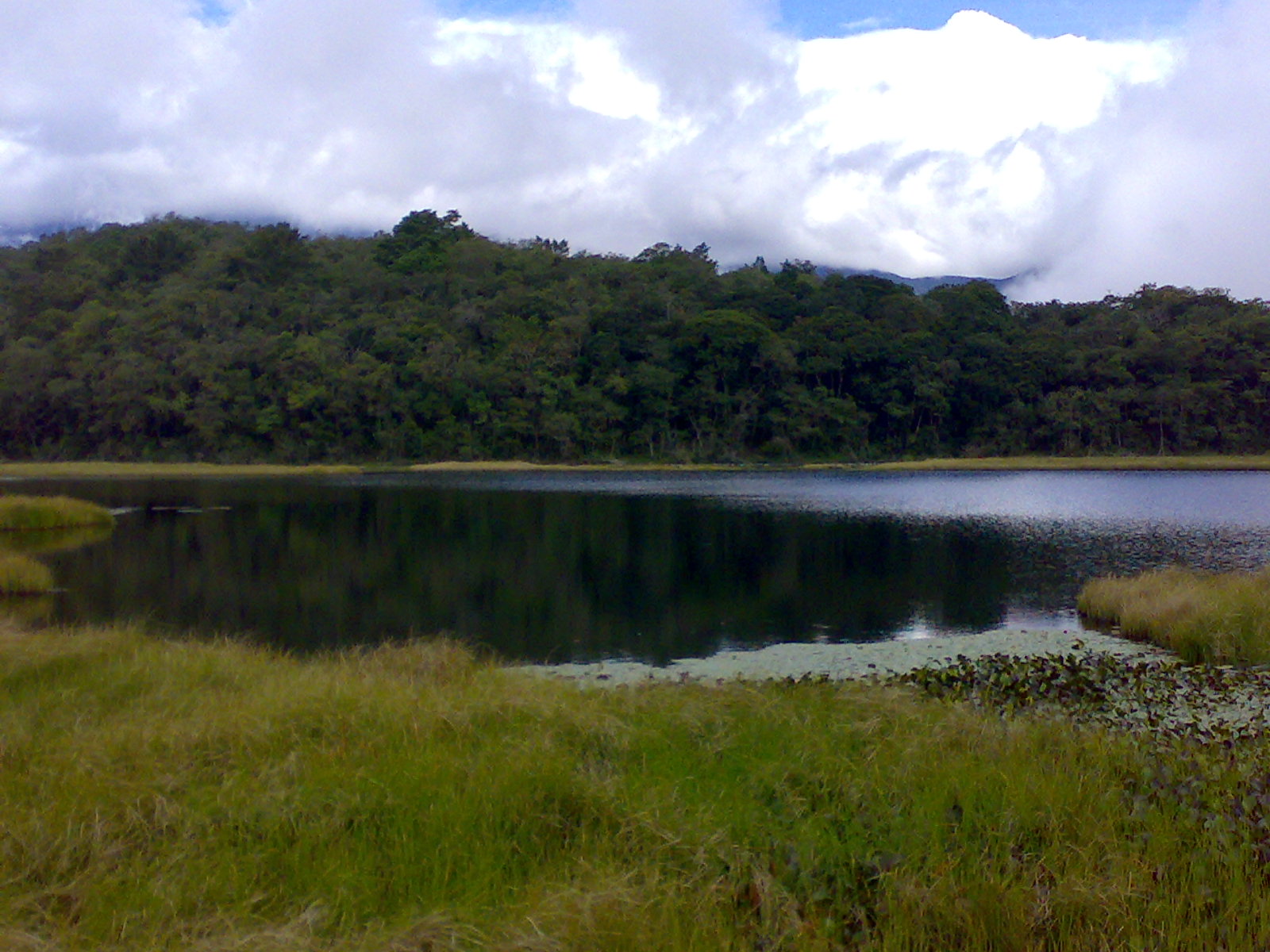 a lake with some trees in the background