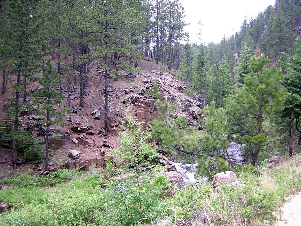 there is a small creek in the middle of the woods