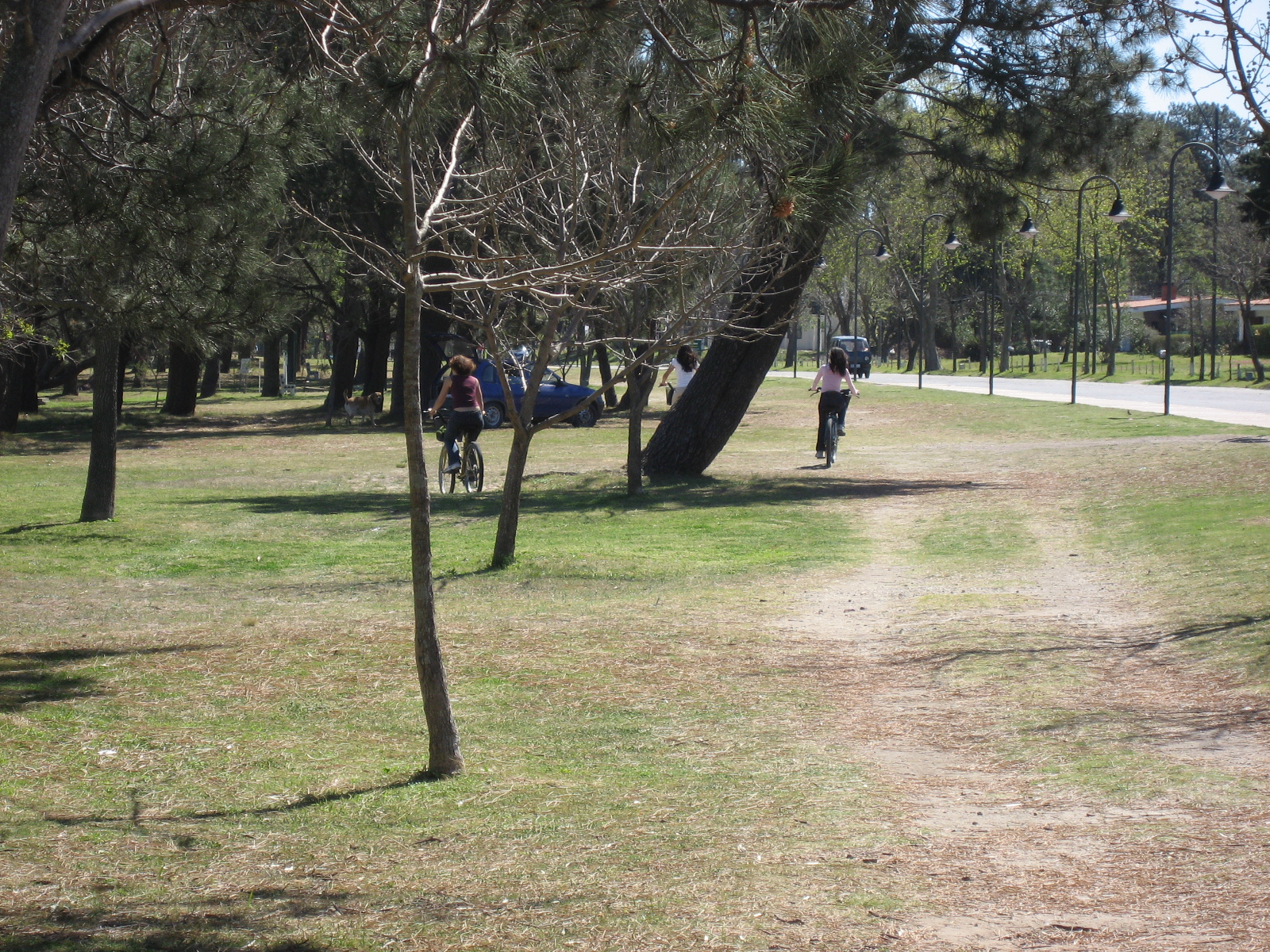people are jogging on a trail in the park