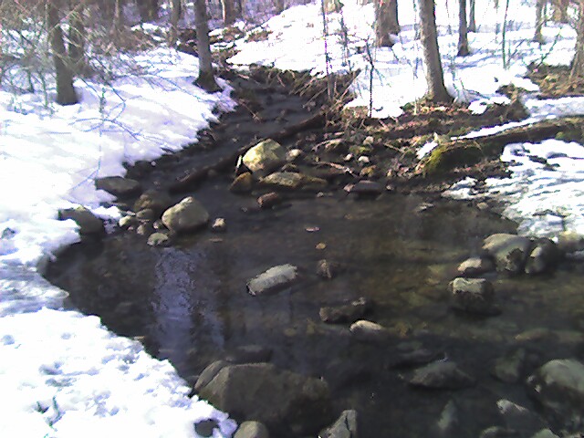 snow covered ground with a stream running through it