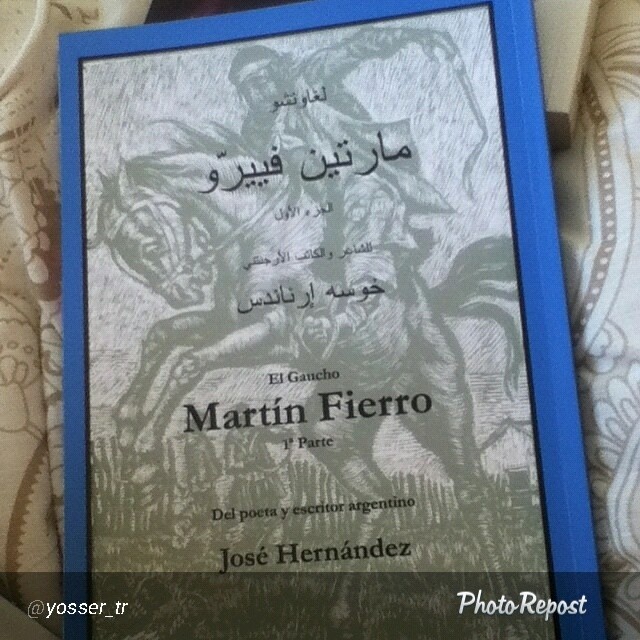 the front cover of the first book on martin fierero