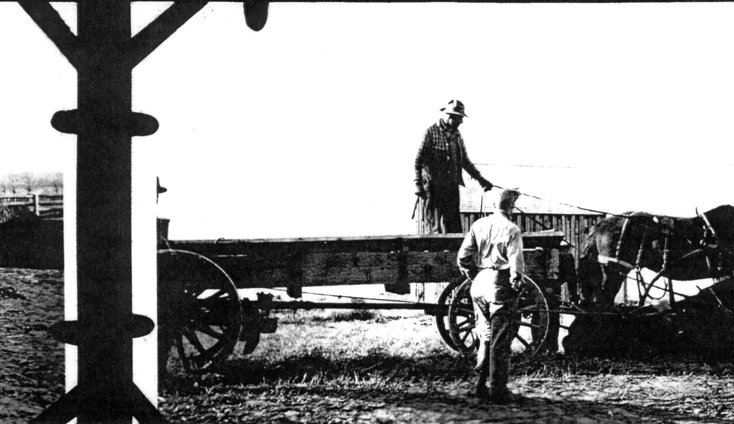 the man stands behind his horse drawn wagon