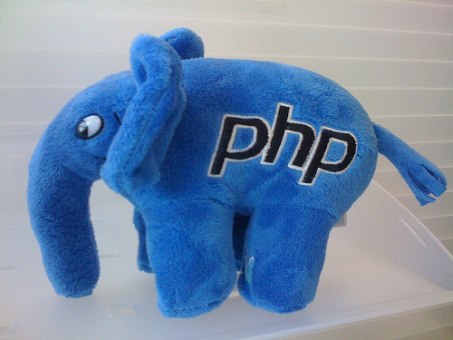 a blue stuffed animal with the letters phi on it