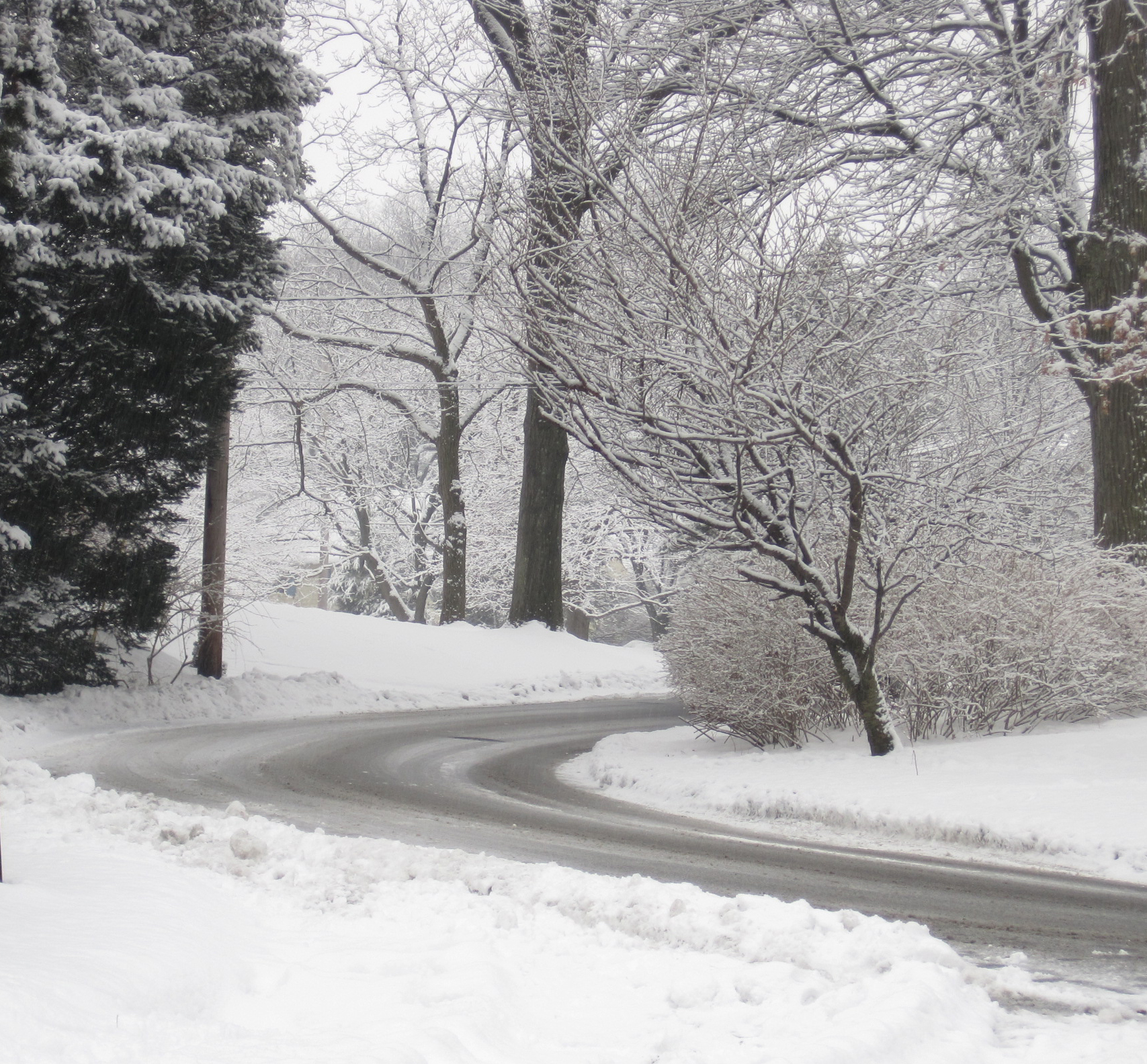 a street with snow and trees on both sides