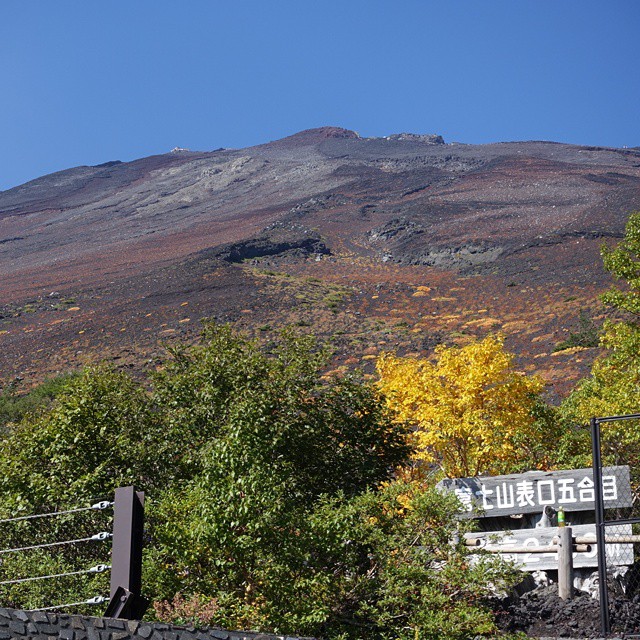 a large mountain behind a fence surrounded by trees
