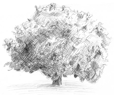 an ink drawing of a tree
