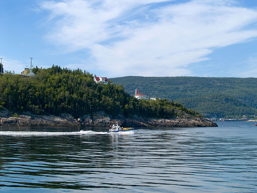 the small boat travels on the river near the shore