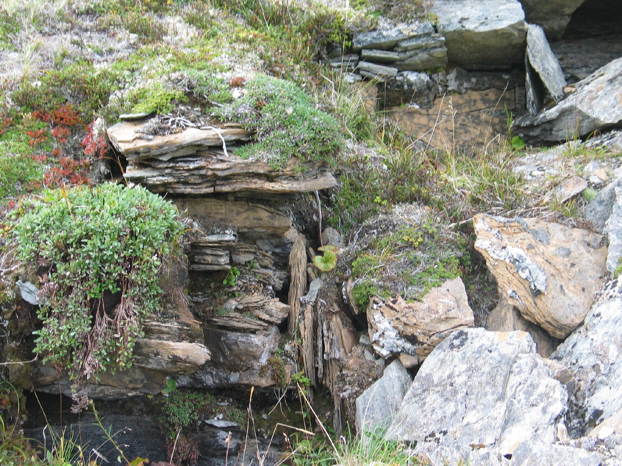 there is a small cave on top of some rocks