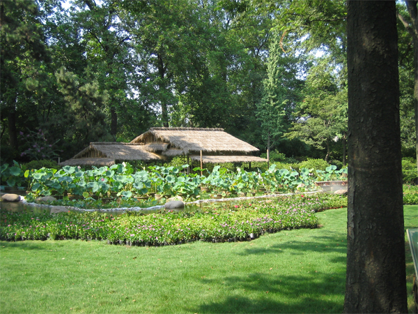 an edible garden is being displayed in a park
