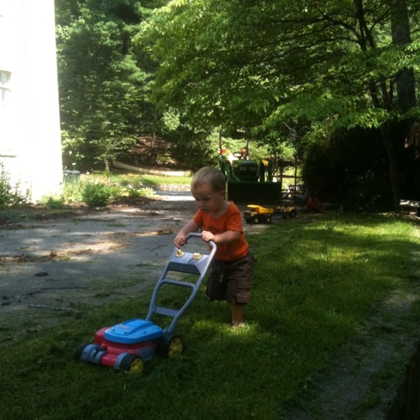 a little boy hing a small toy cart on the grass