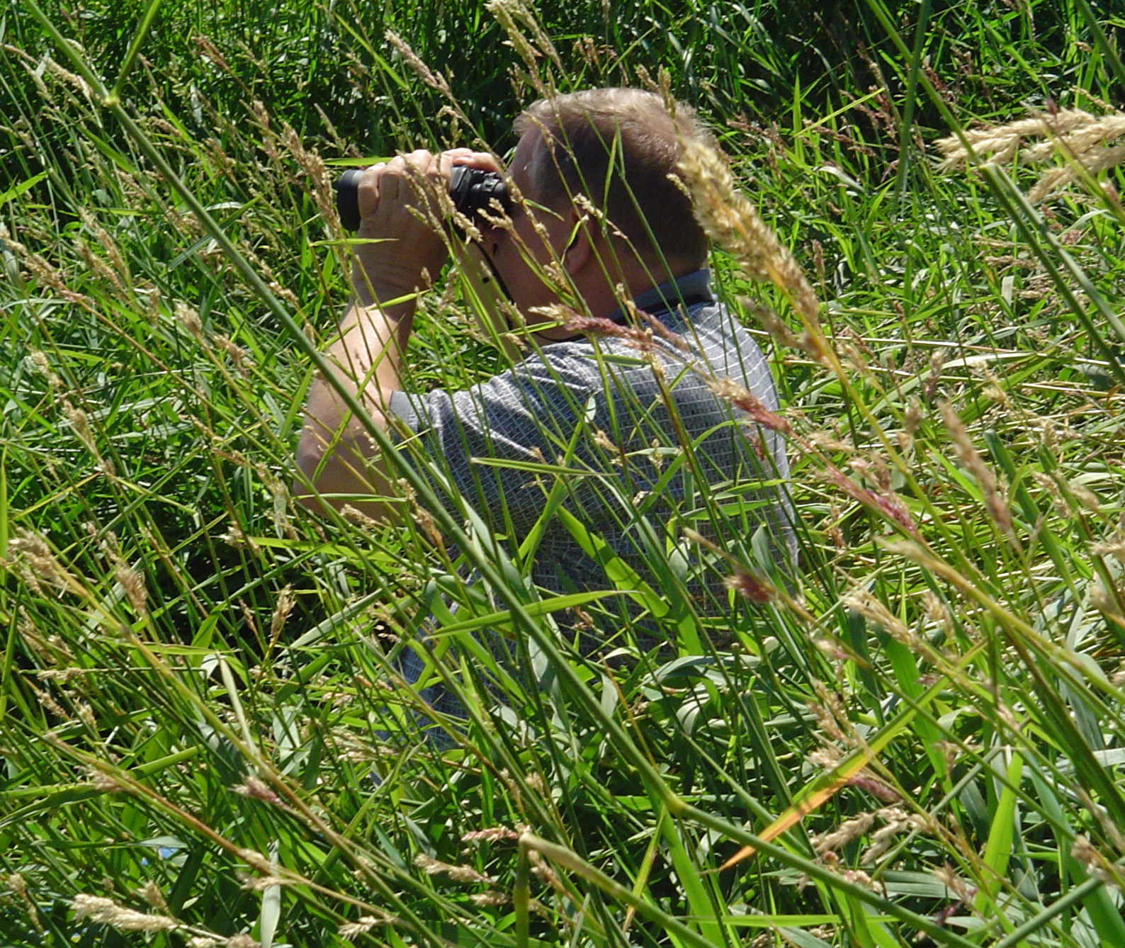 a person in the grass taking pictures with their camera