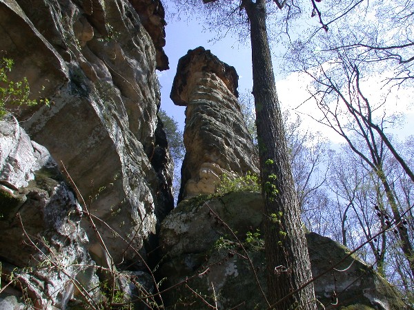 several large rocks in a rocky, open area with trees and other vegetation