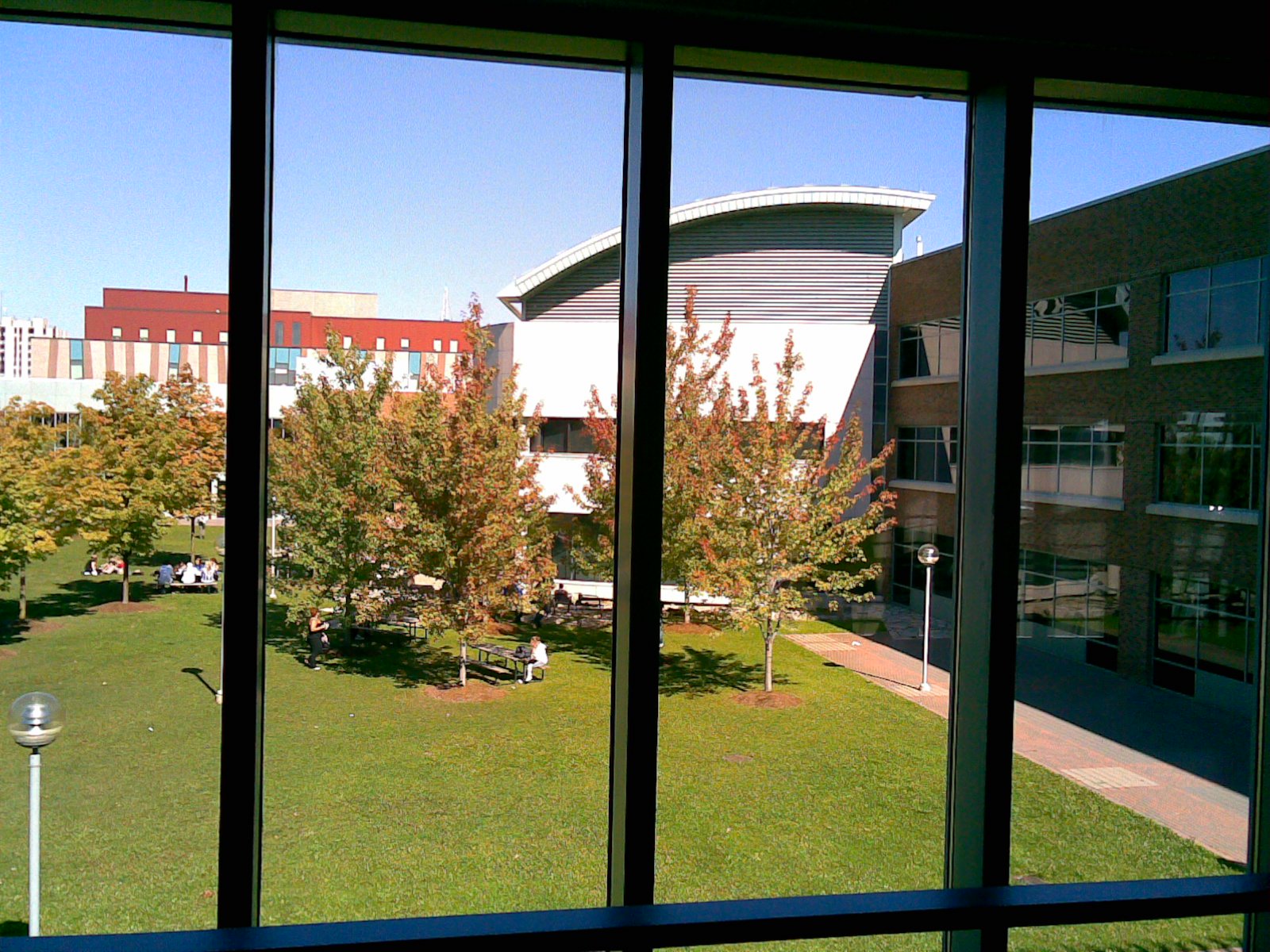 a view from a window looking down at a grassy area