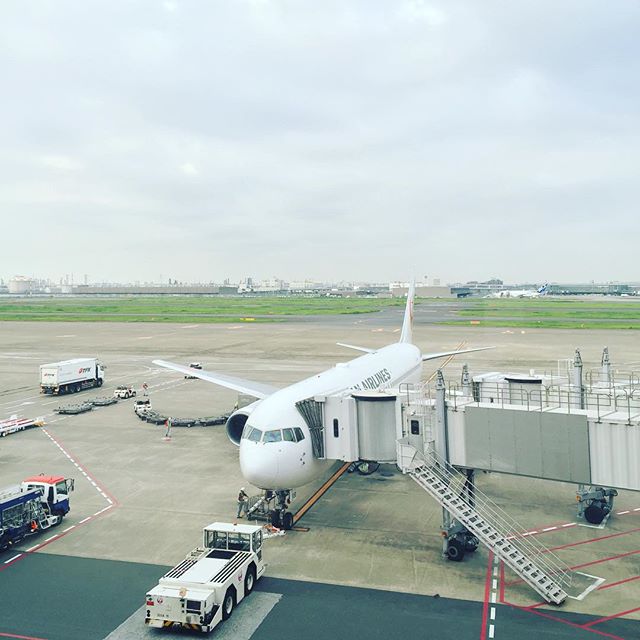an airplane parked at the gate of an airport