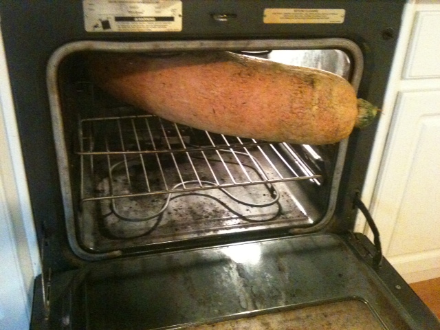 a very large cooked sweet potato in an open oven