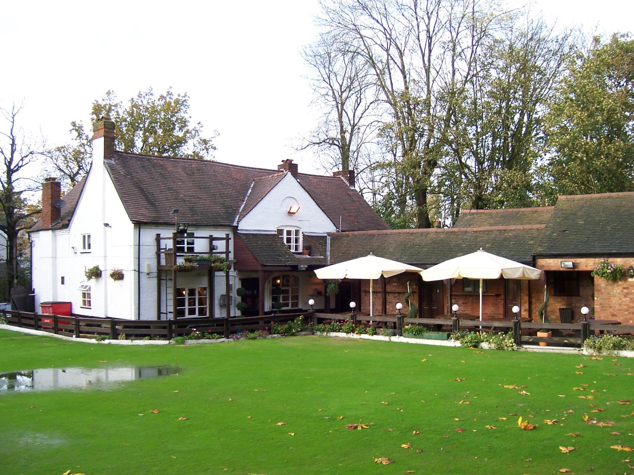 the lawn is empty and grass is greenery