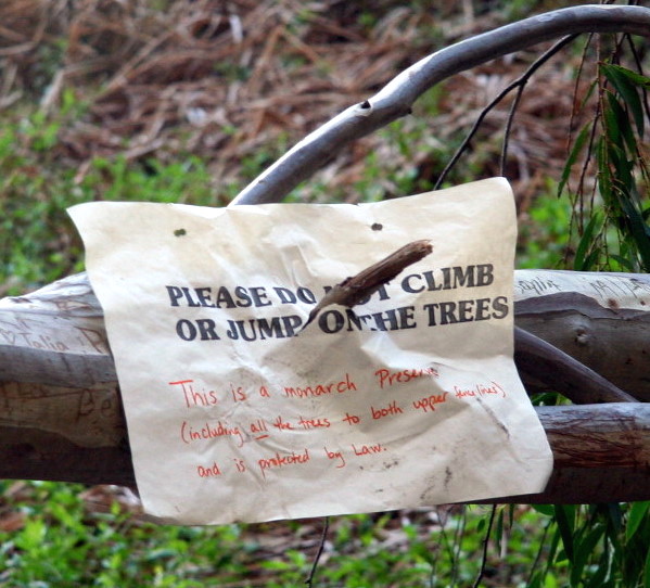 the signs have been pinned on a tree limb