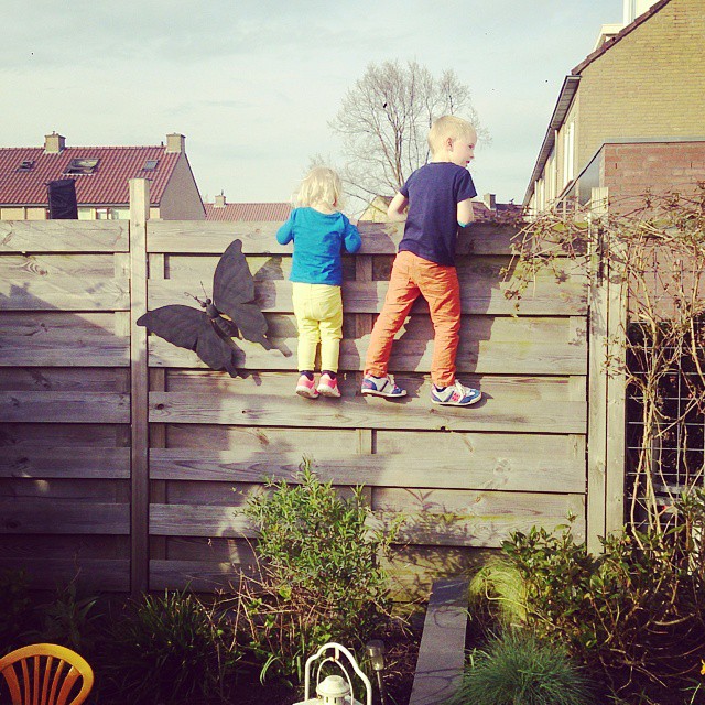 a couple of s are standing on the fence