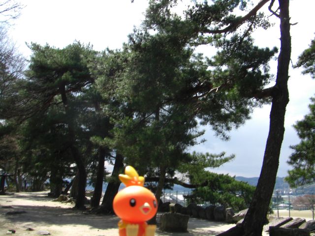 a strange looking orange toy is in the park