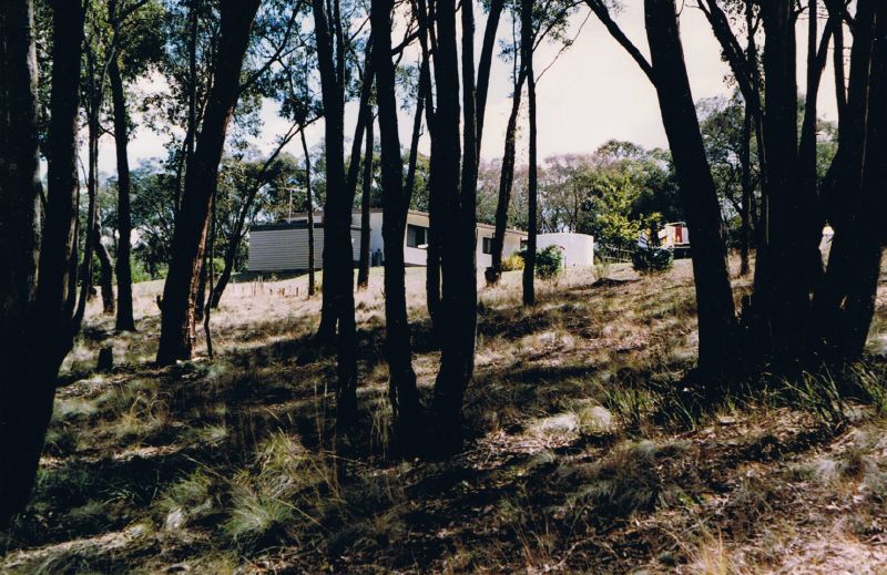 trees with some buildings in the distance