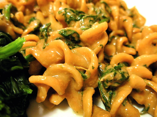 some pasta and a broccoli sit together on a plate