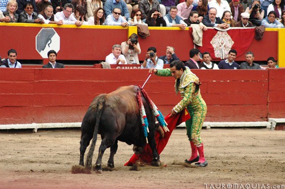 a man performing a mata's dance with a bull