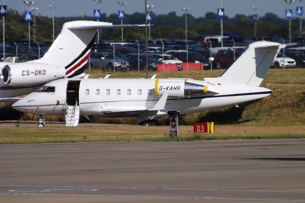 small white airplanes parked in an airport lot