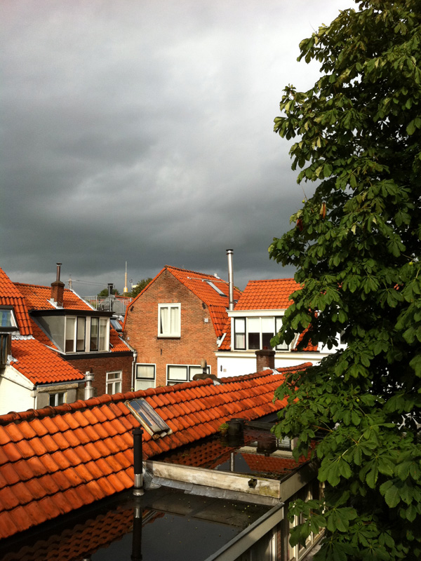 several houses stand behind some trees with storm clouds in the distance