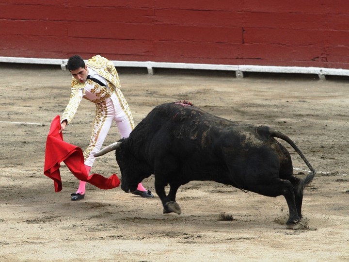 a man in an arena trying to steal a bull
